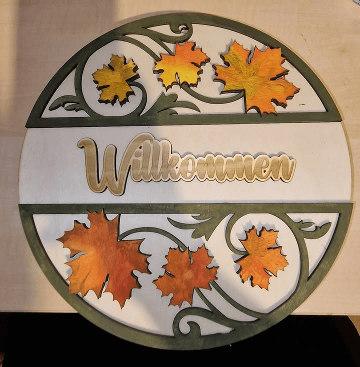 Omtech lasercutter