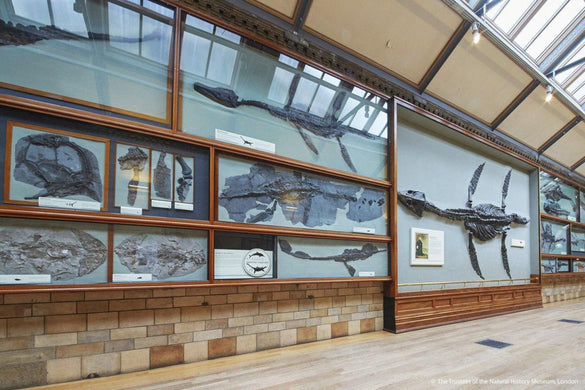 Die besten Lasergravierer für Museen: Der komplette Kaufratgeber (2026)