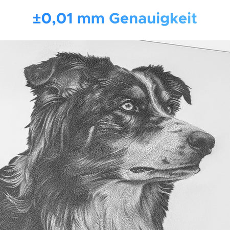 30W Faserlaser Graviermaschine mit Autofokus für Metallgravur | F30C co2 laser engraver OMTech