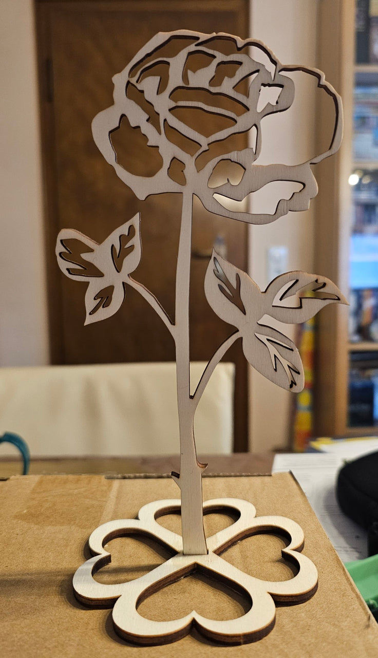 Omtech lasercutter